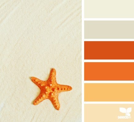 Сочетание цветов