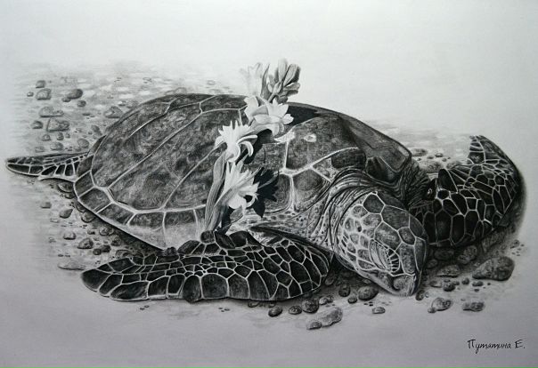 #Путятина_Екатерина