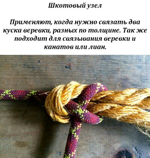 10 УЗЛОВ, КОТОРЫЕ МОГУТ ПРИГОДИТЬСЯ В БЫТУ