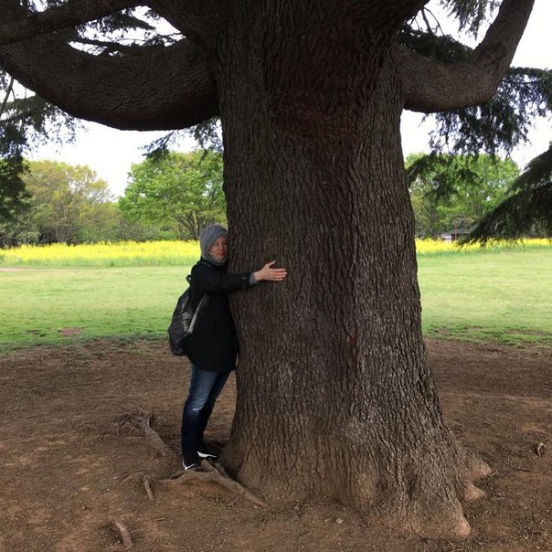 Максим Фадеев: