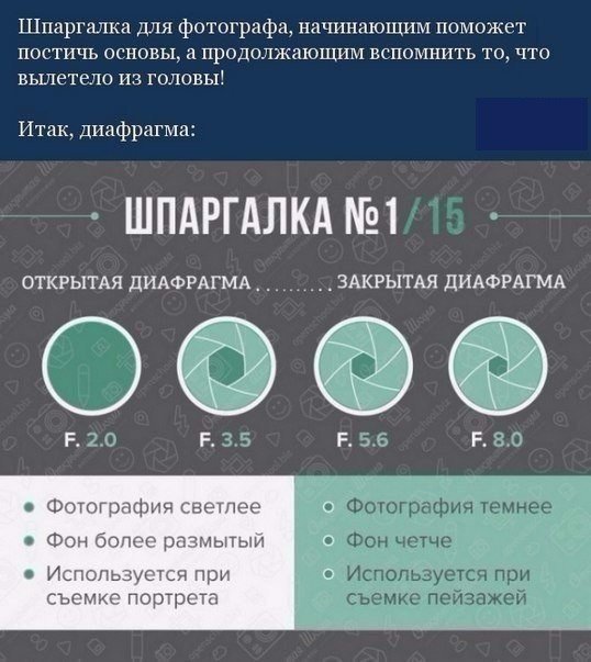  ШПАРГАЛКА НАЧИНАЮЩЕГО ФОТОГРАФА