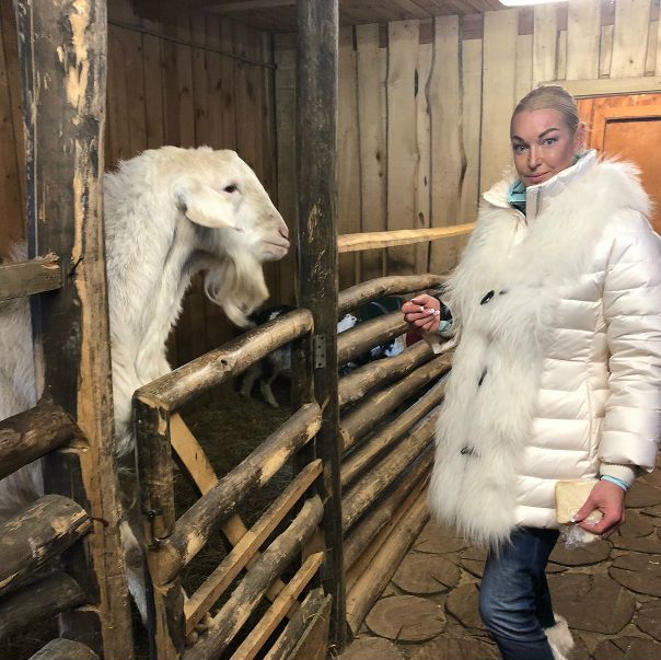 А знаете ли вы, что у Анастасии Волочковой есть козлик Барик!