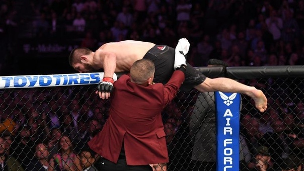 Что Хабиб будет делать после завершения карьеры. Вы удивитесь