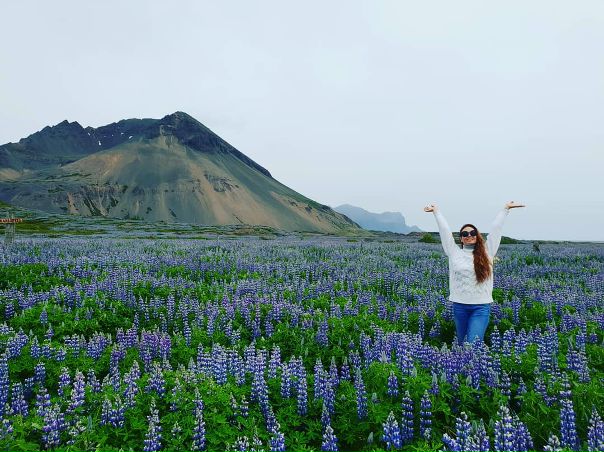 Павел Воля: