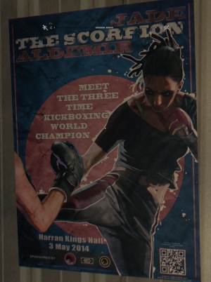 Скрытый QR код в Dying light