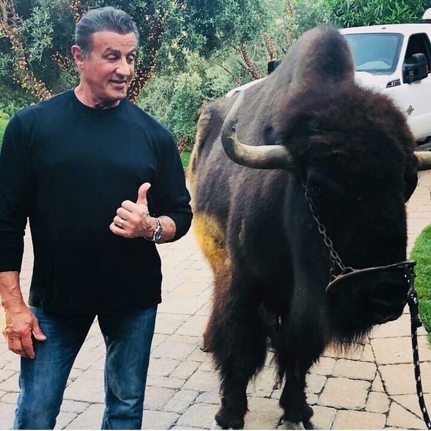 Сильвестр Сталлоне в личном микроблоге! 