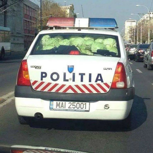 Конкурс на лучший комментарий