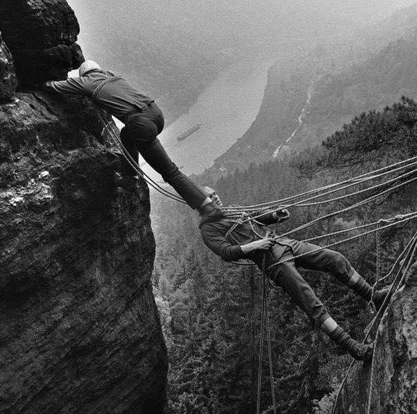 Вот что значит настоящий верный друг.