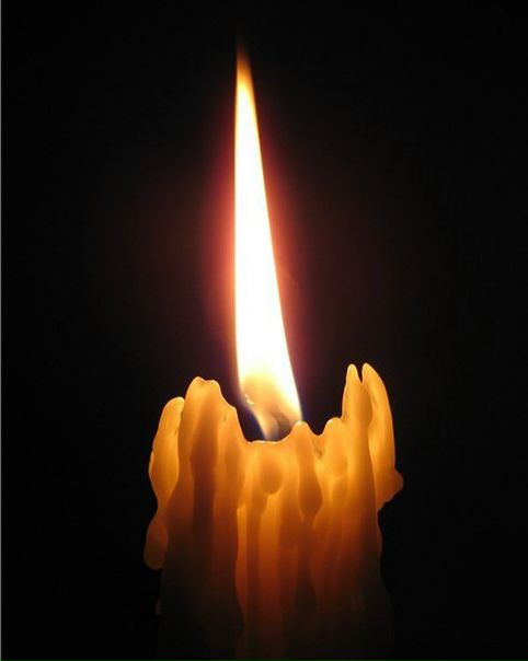 Андрей Малахов: