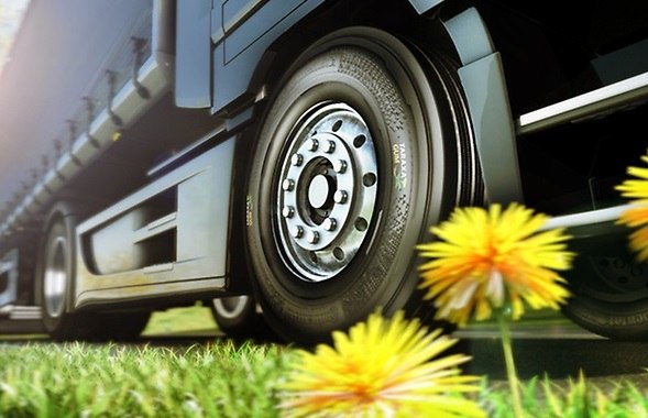 СИЛА ЦВЕТОВ