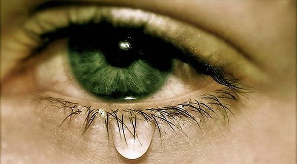 Мария Кожевникова: