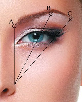 Как выщипывать брови Форму бровей можно определить по линиям: первая показывает начало брови и должна проходить через внутренний уголок глаза (А), вторая показывает точку излома - проходит примерно через центр зрачка (В), третья через показывает конец брови и проходит через внешний угол глаза (С). Как выщипывать брови Форму бровей можно определить по линиям: первая показывает начало брови и должна проходить через внутренний уголок глаза (А), вторая показывает точку излома - проходит примерно через центр зрачка (В), третья через показывает конец брови и проходит через внешний угол глаза (С).