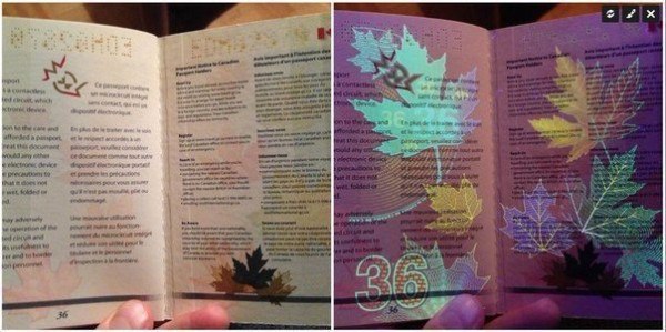 «Секретные» ультрафиолетовые изображения канадского паспорта.