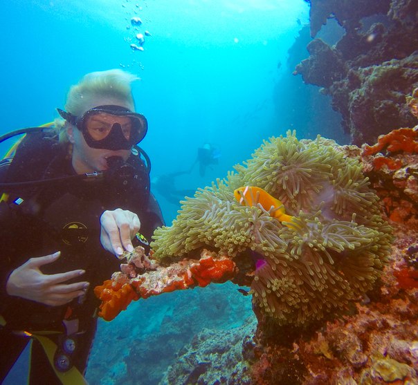 Анна Семенович занялась подводным плаванием на Мальдивах! 