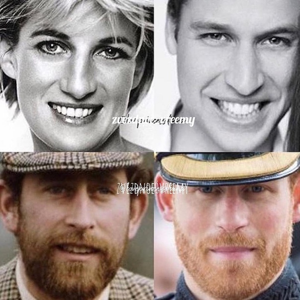 Принц Уильям похож на Принцессу Диану, а Принц Гарри похож на отца Принца Чарльза!