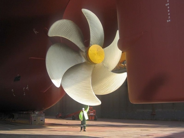 Винт контейнеровоза MSC Deila. Снимок сделан в доке в Южной Корее до спуска судна на воду в 2012 году.